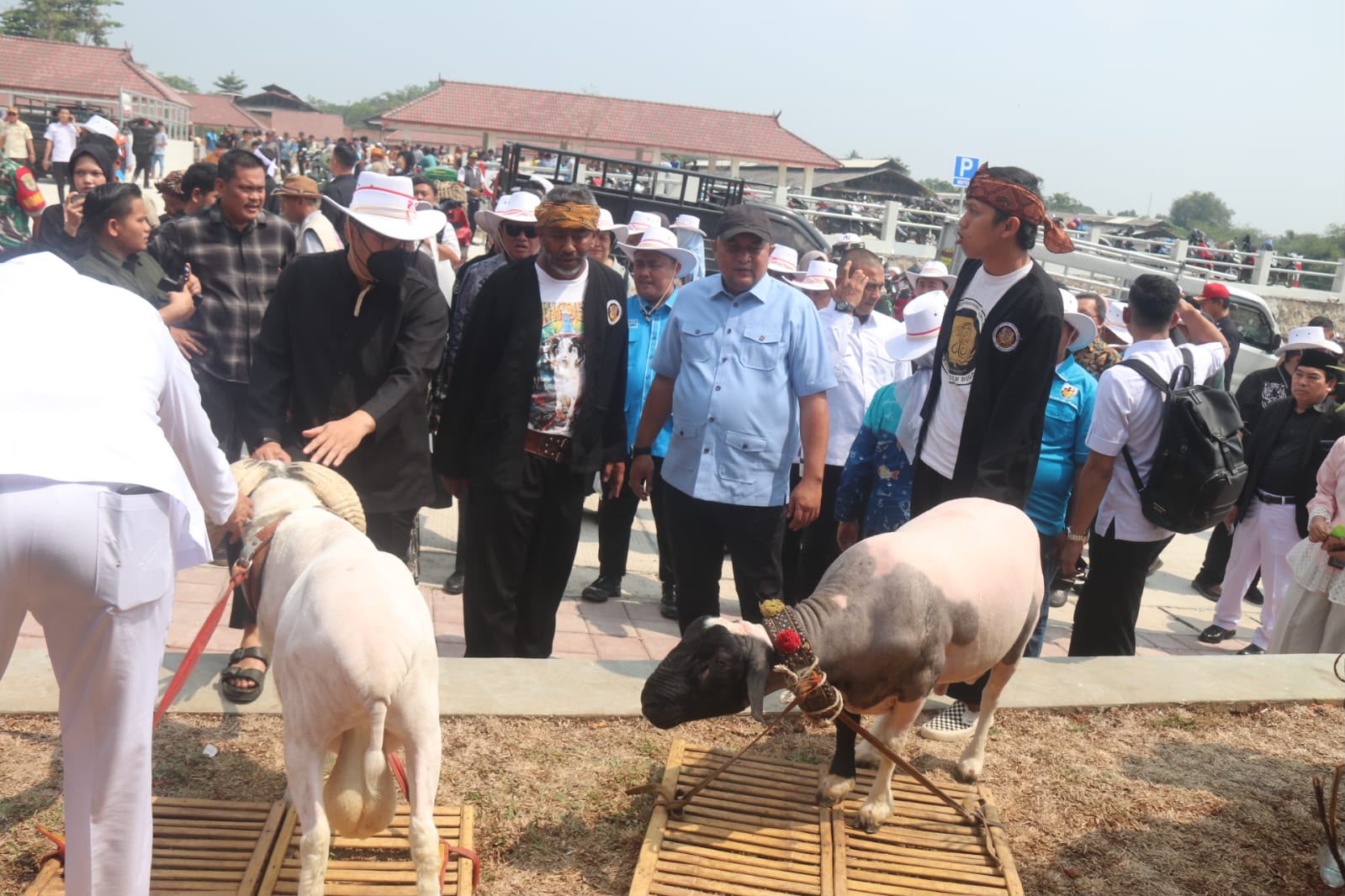 Pasar Hewan Jonggol Dilengkapi Fasilitas Hotel Hewan
