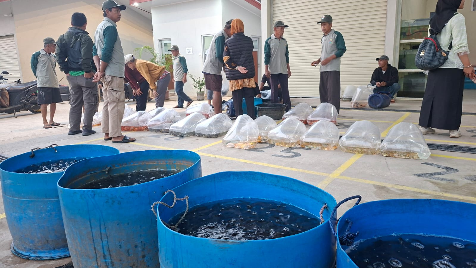 Wajah Baru Pasar Benih Ikan Ciseeng, Hadir Lebih Modern, Bersih dan Representatif