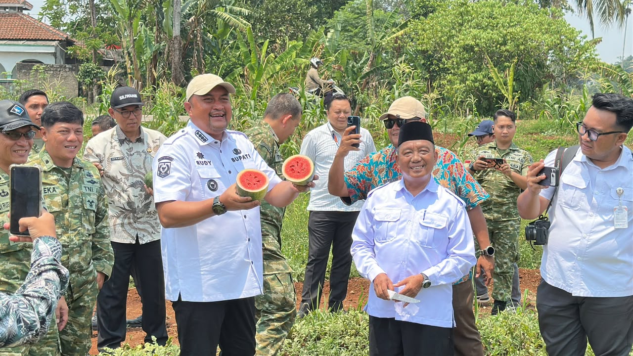 Panen Semangka Inul, Rudy Susmanto Ingin Lahan Bomang Lebih Produktif dan Berdampak Ekonomi Bagi Masyarakat