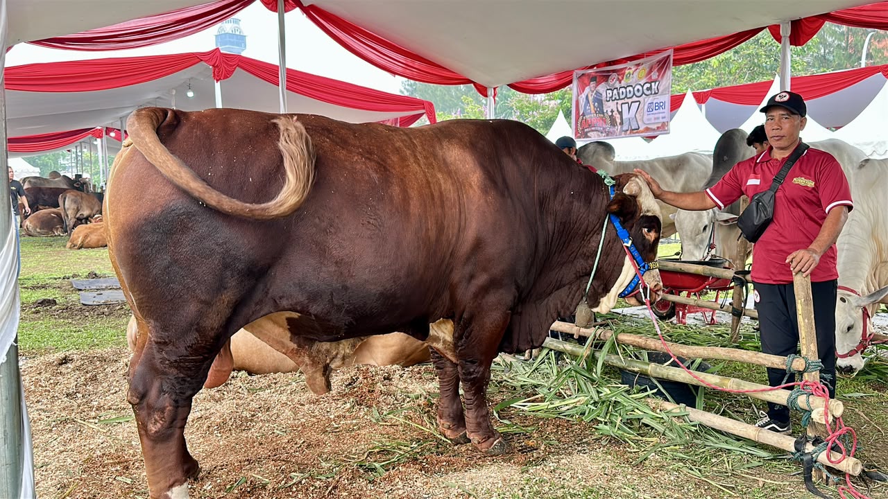 Kabupaten Bogor Jadi Titik Temu Peternak Dari Berbagai Daerah