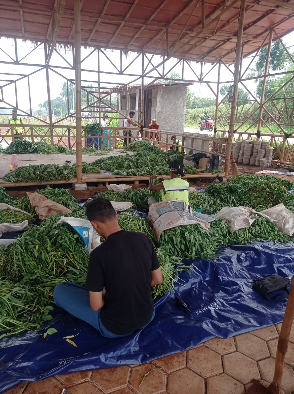 Pemkab Bogor dan Satgas Pengawal Indonesia Emas Konsisten Rawat Lahan Bomang, Optimalkan Pengelolaan Pertanian