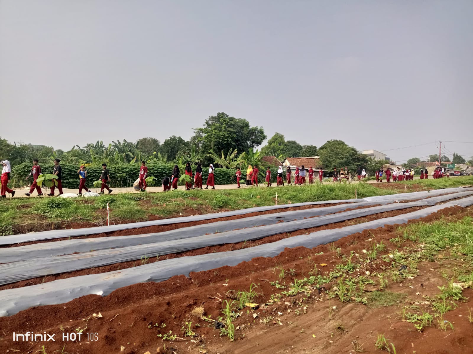 Lahan Pangan BOMANG Jadi Destinasi Edu Wisata Pertanian bagi Siswa di Kabupaten Bogor